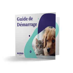Pack Découverte - 4 buzzers + 1 Tapis