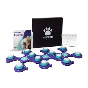 Pack Expert - 12 buzzers + 3 Tapis