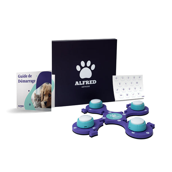 Pack Découverte - 4 buzzers + 1 Tapis