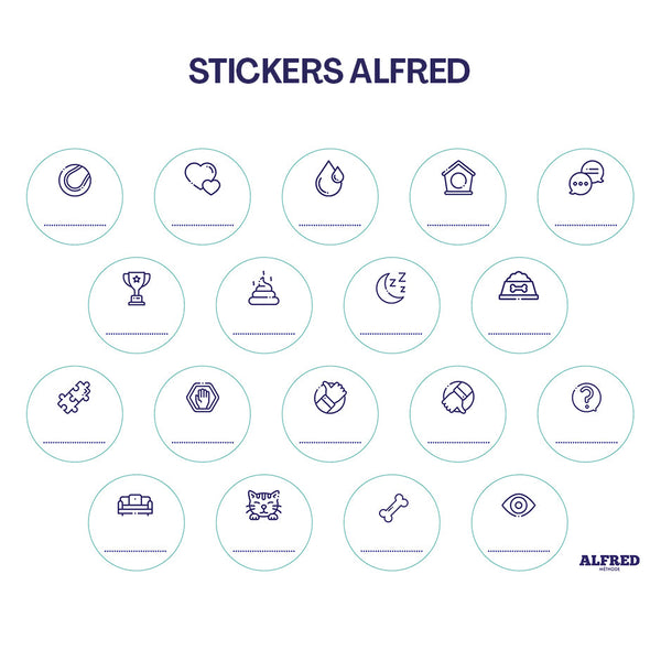 Pack Découverte - 4 buzzers + 1 Tapis