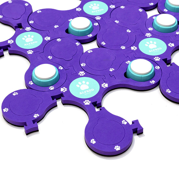 Pack Découverte - 4 buzzers + 1 Tapis